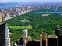 /album/new-york/new-york-7-jpg/